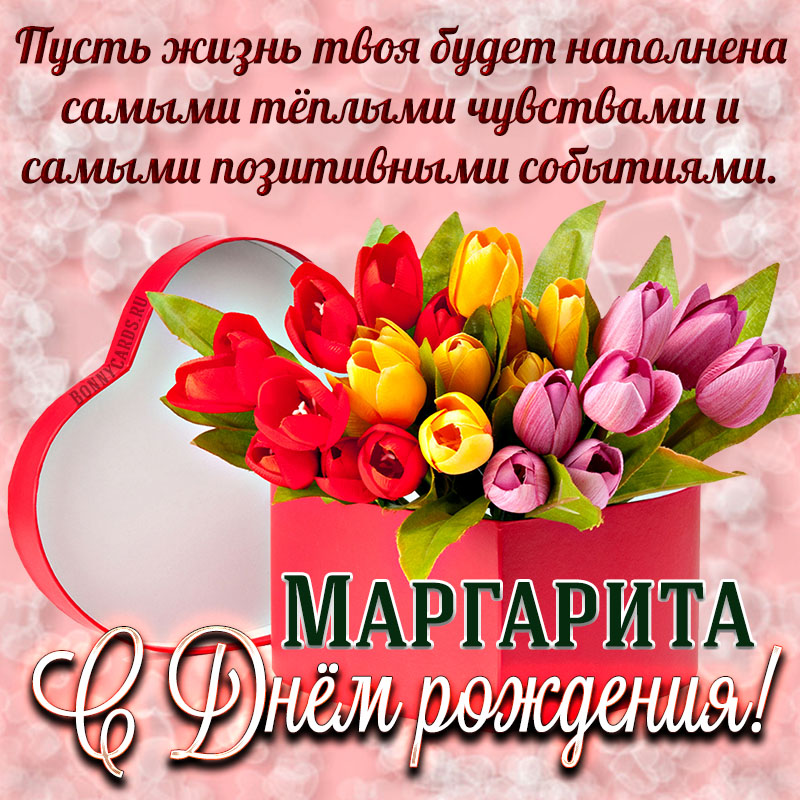 Поздравления С Днем Рождения Женщине Маргарите Прикольные