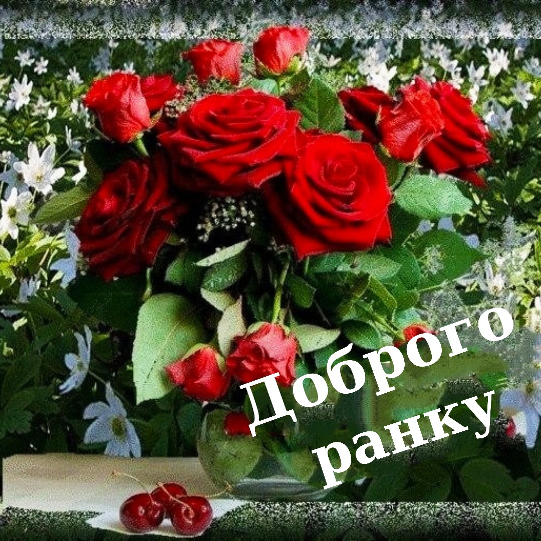 Роскошный букет красных роз и доброе утро