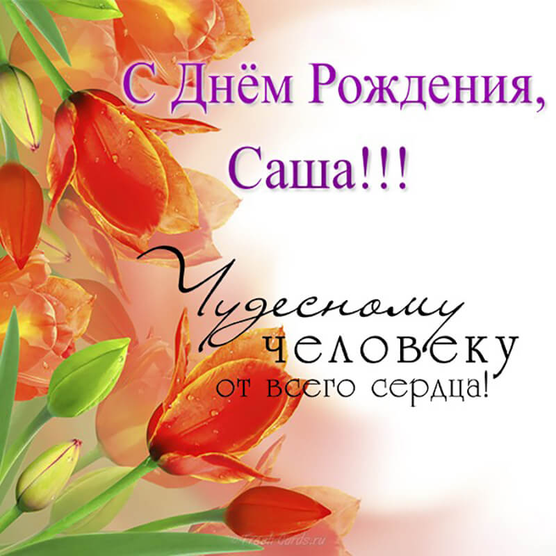 https://ulibky.ru/wp-content/uploads/2020/09/S_dnem_rozhdeniya__Sasha_prikolnye_otkrytki_10_28074553.jpg