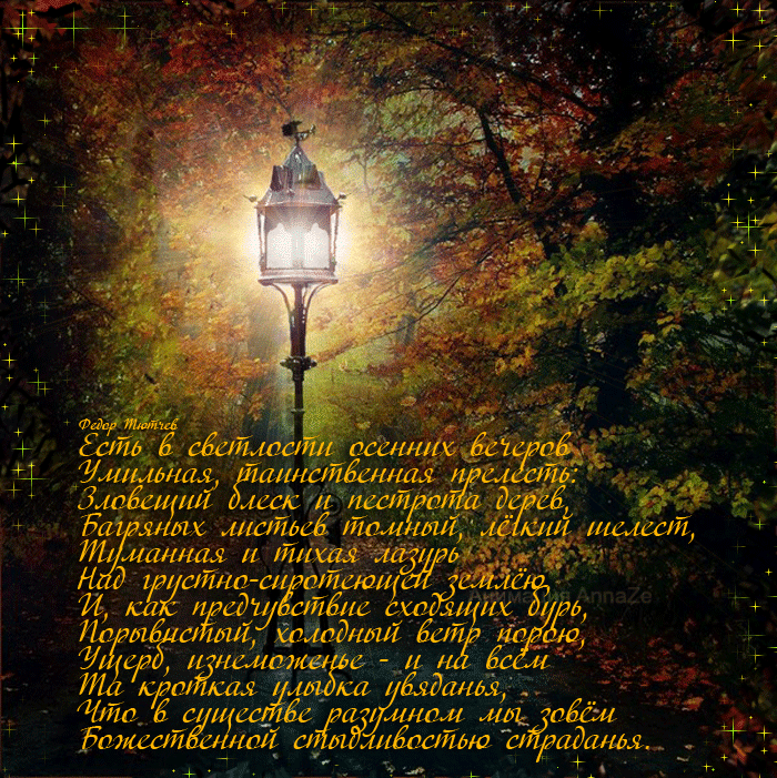 В свете фонарей текст. Прекрасной осенней ночи. Вечерние стихи. Поэзия осенней ночи. Стих вечер.