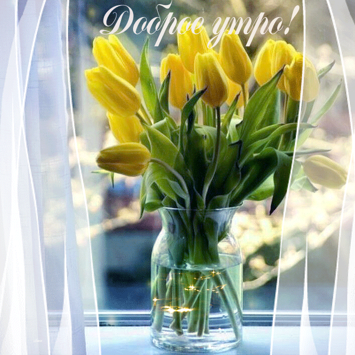 Доброе весеннее утро с тюльпанами картинки. Тюльпаны в вазе на окне. Желтые тюльпаны в вазе на окне. Желтые тюльпаны в вазе. Цветы тюльпаны в вазе на окне.