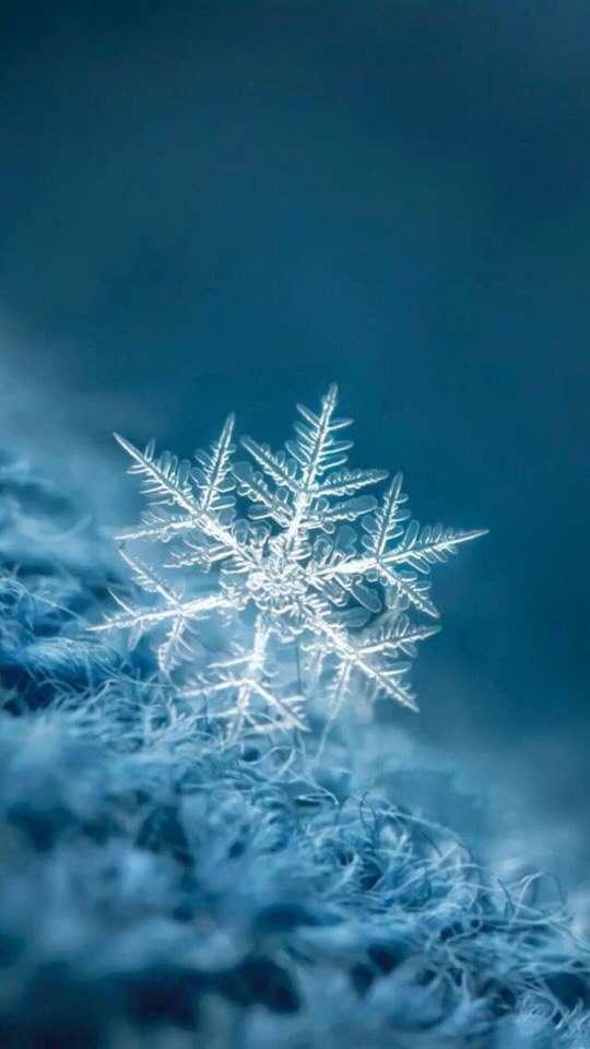 Красивое Фото Зимы Скачать Бесплатно
