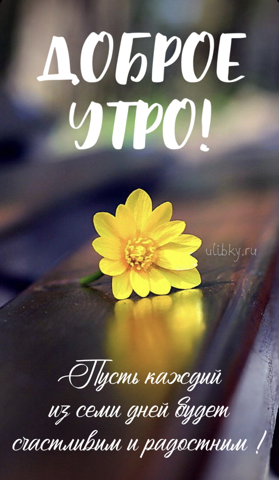 Хорошей рабочей недели картинки